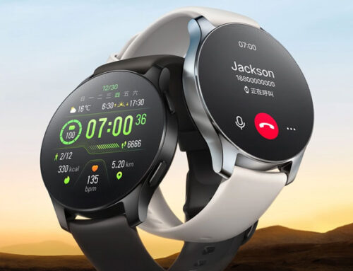 vivo (localización a GL)